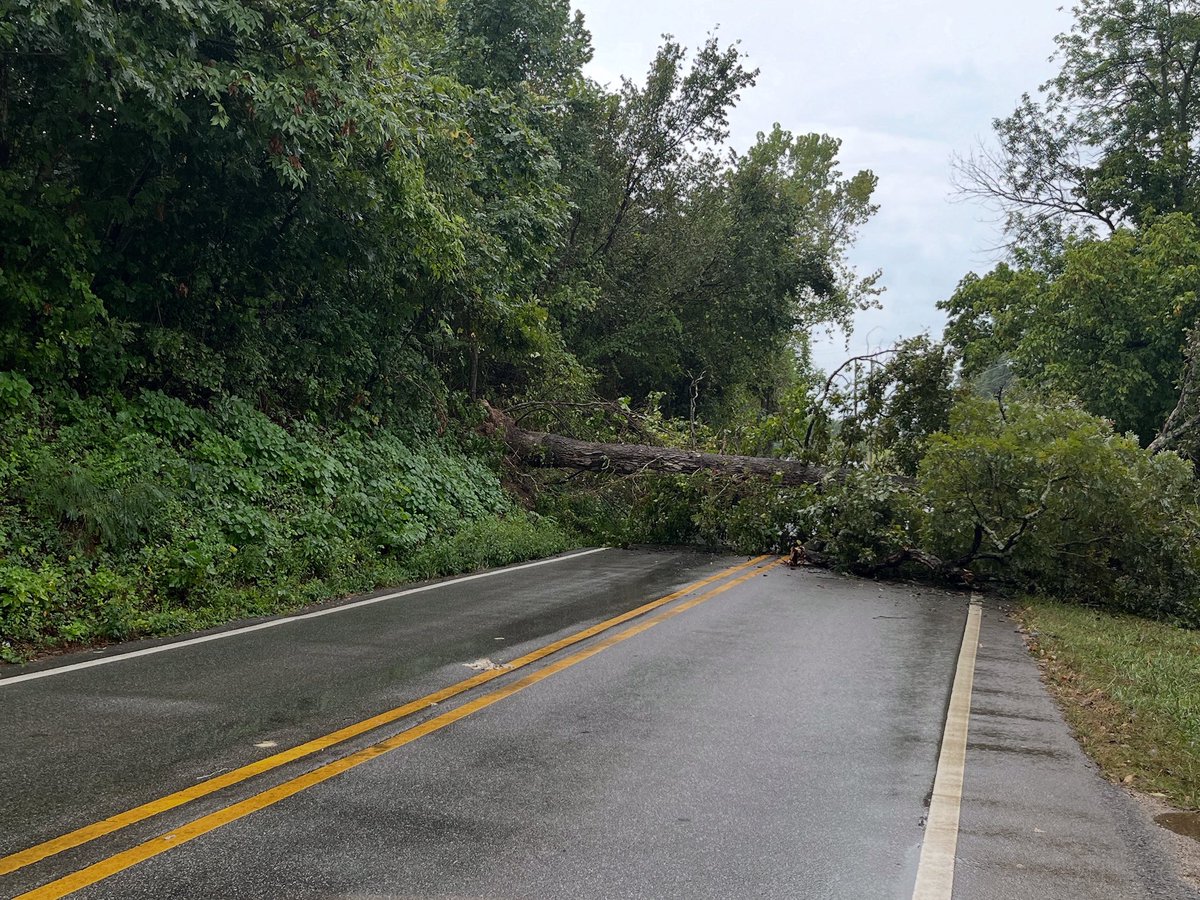 On Rainbow heading toward Walton before Northgate, there is a minor blockage.  Gotta go around.  Reporting at 5:50pm.