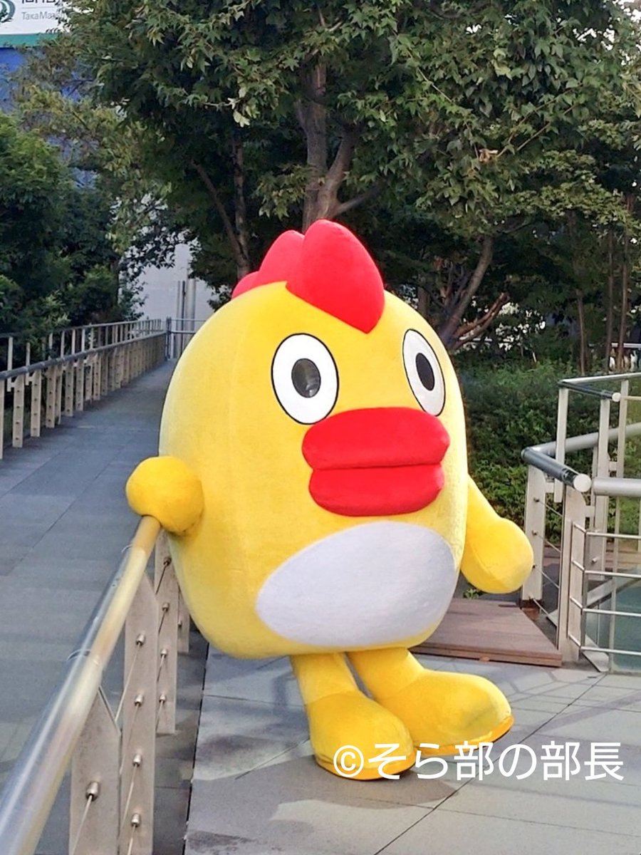 そらジロー 💛そら部の部長❤️ on X: 