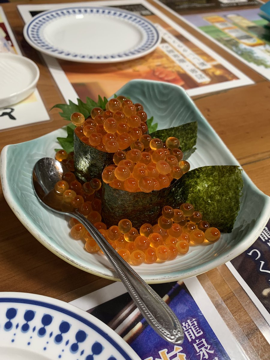 ぷちこ。さま専用ページ 楽天市場】ペットケージ DOGSAFE8 NE ごくせま 専用 増設用扉