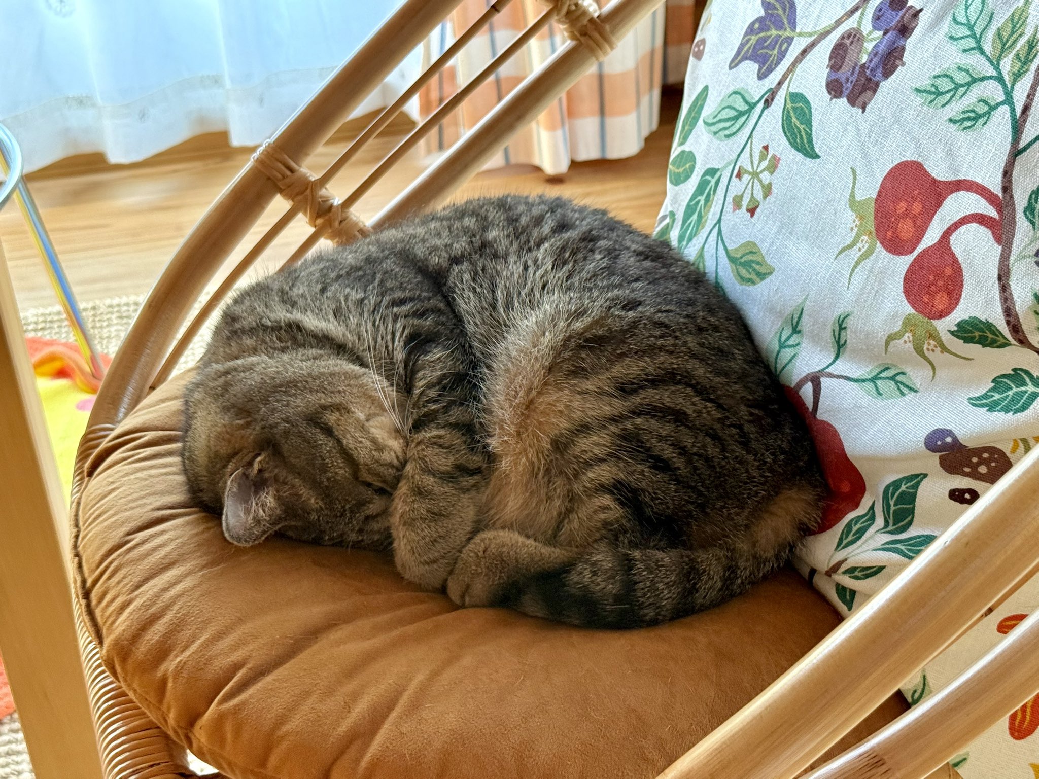 Parka パンデイロ　PD101 Parka パンデイロ PD101 PD101 (PARKA Original Handmade Pandeiro