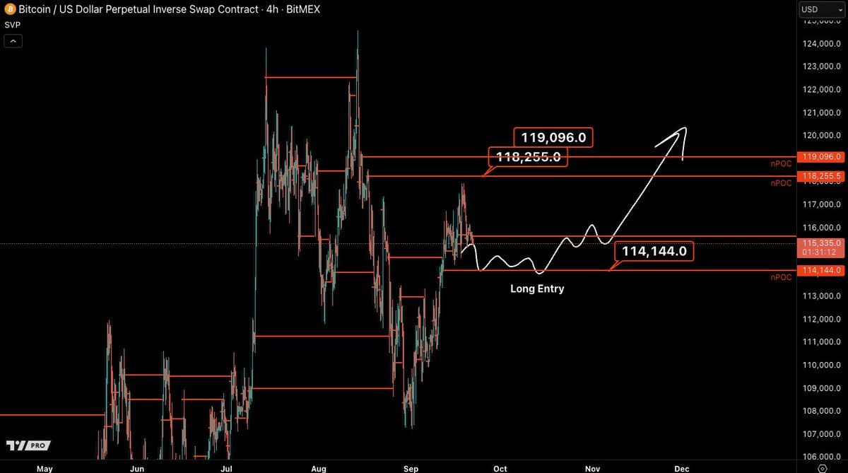 Castillo Trading tweet media