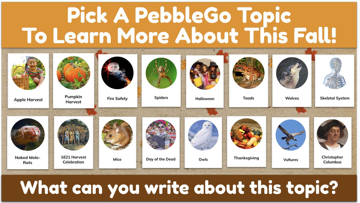 shannonmmiller's tweet image. It's fall tomorrow! 🍂
We created a place to spark fall research and writing activities with @PebbleGoHQ and @CapstonePub Connect. 💻
You can find the template here to use with your students too, friends. 🤎
buff.ly/ZXgPRH4
#PebbleGo #tlchat #futurereadylibs #edchat…