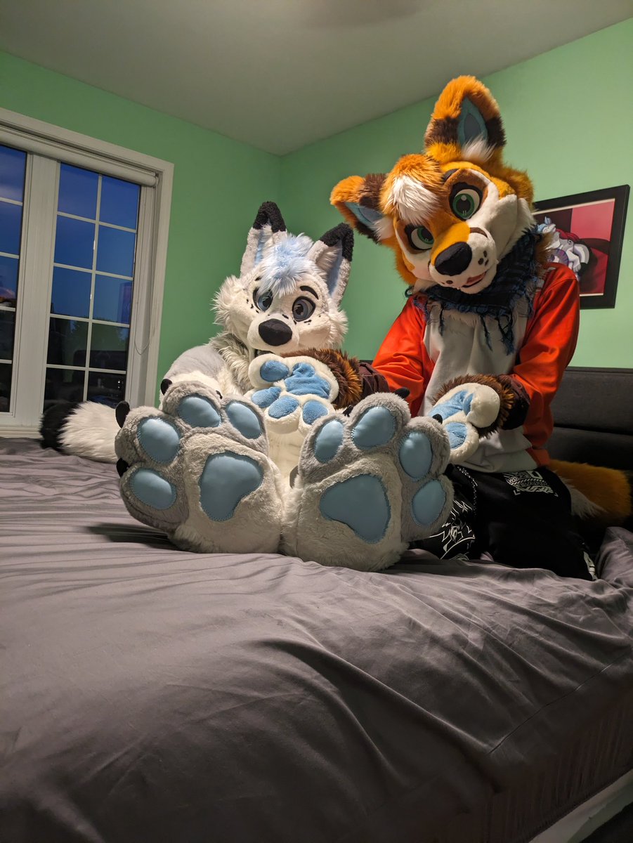 Sunday’s important message 😇

With <a href="/MikeTheFox07/">Mike The Fox</a> 

📸 <a href="/NabiWolfy/">Nabi Wolfy 💙💜</a>