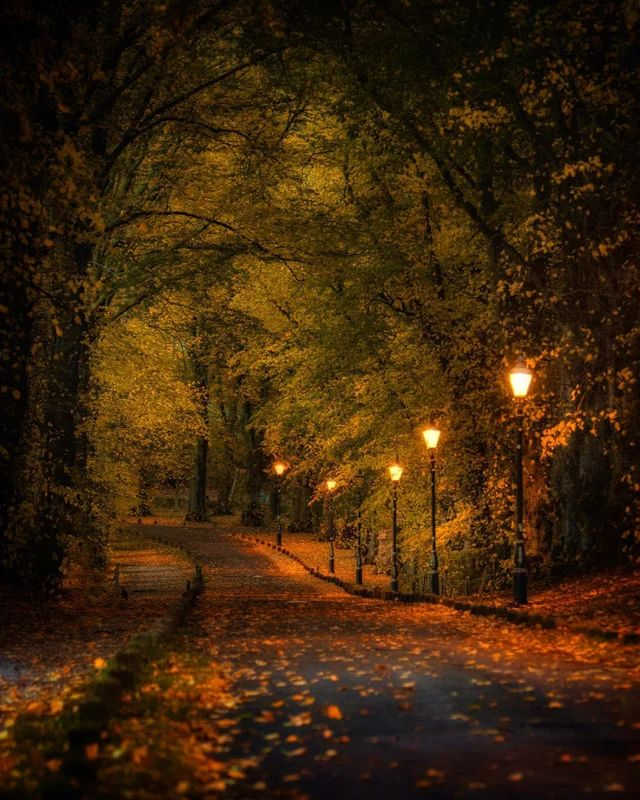𝓒𝓱𝓪𝓷𝓽𝓪𝓵 (@chantal_2022) on Twitter photo 