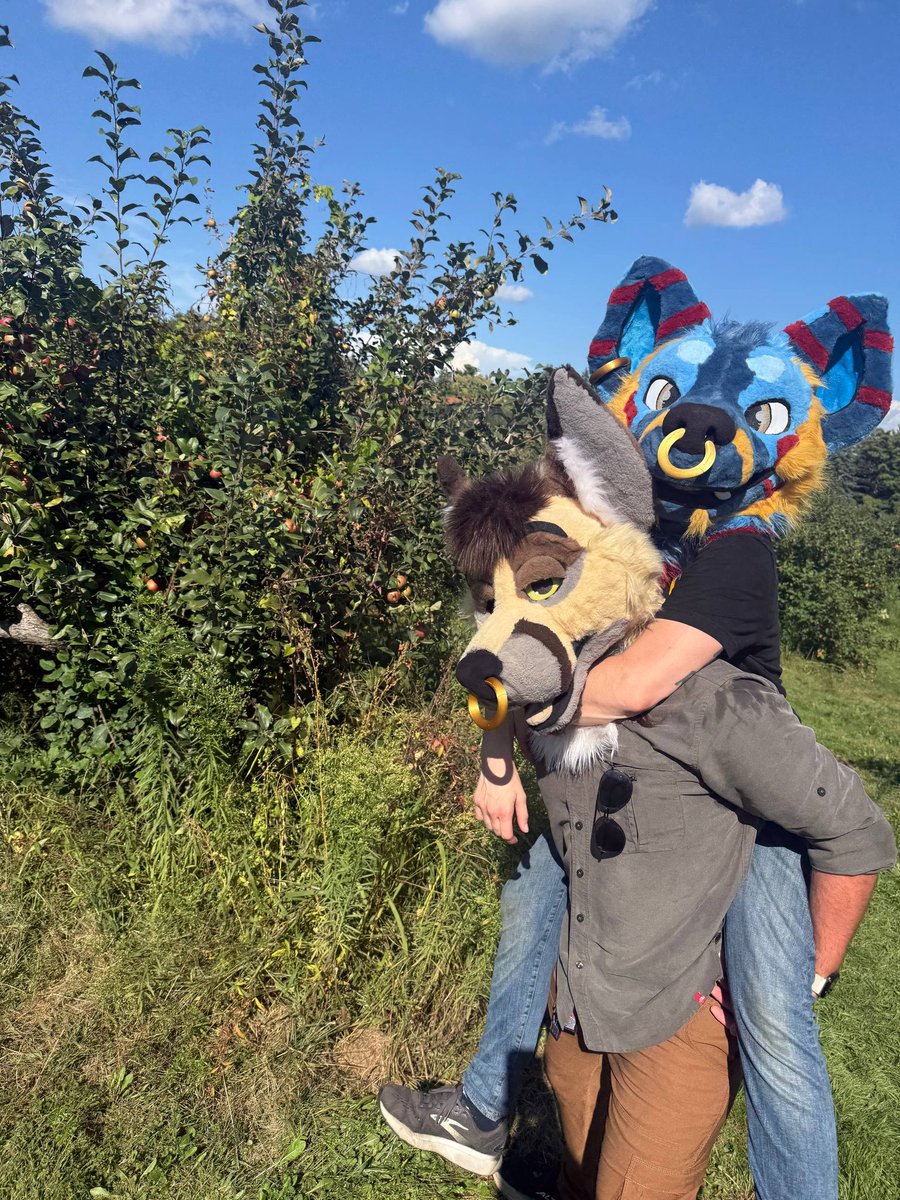 Fun day at the orchard &lt;3 I got tired and had to be carried by <a href="/NapVevo/">Nap Doggy</a> 

📷 <a href="/DDcollie_AD/">Top to Bottom Collie</a>