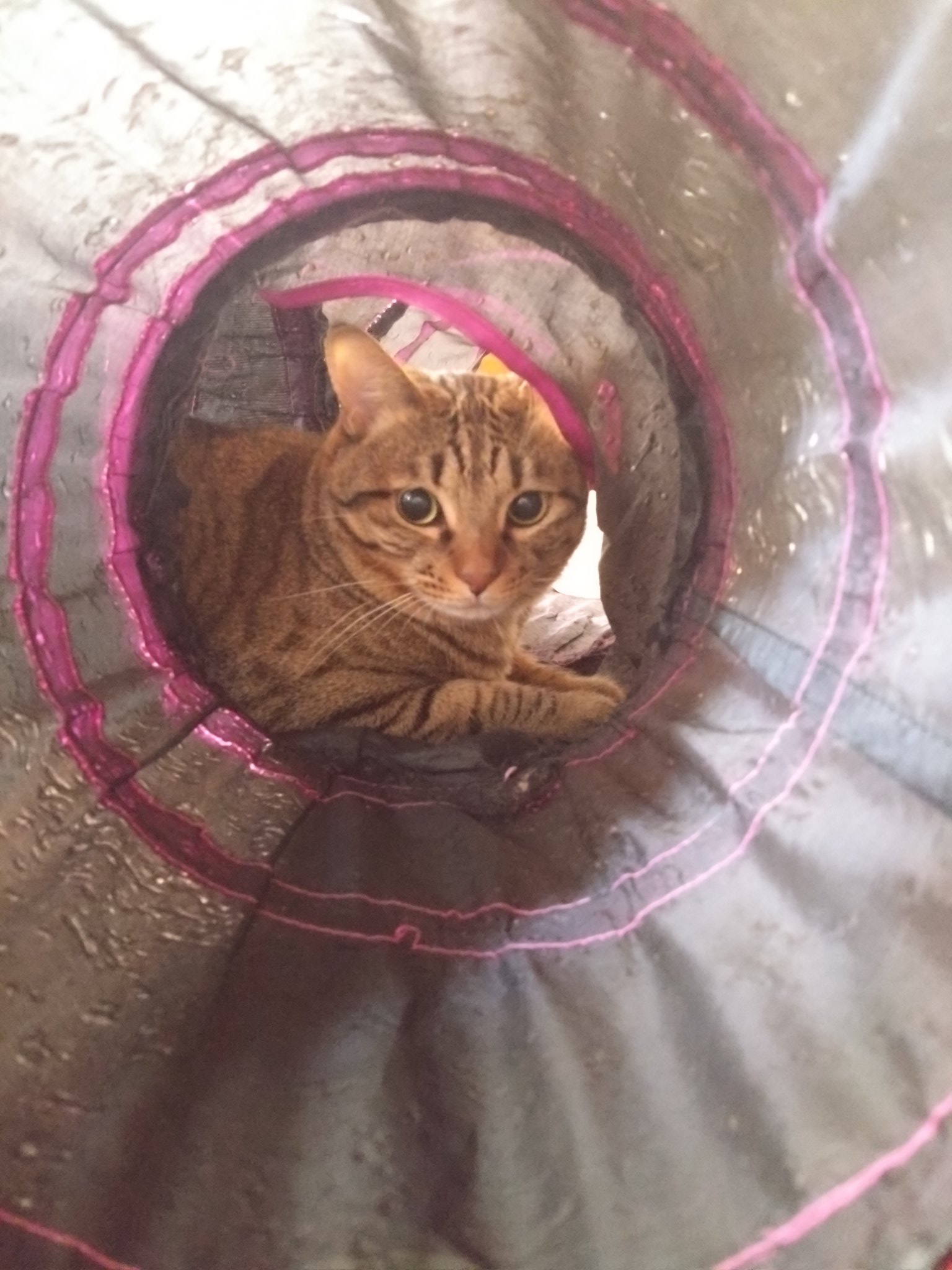 のりちゃん on X: 