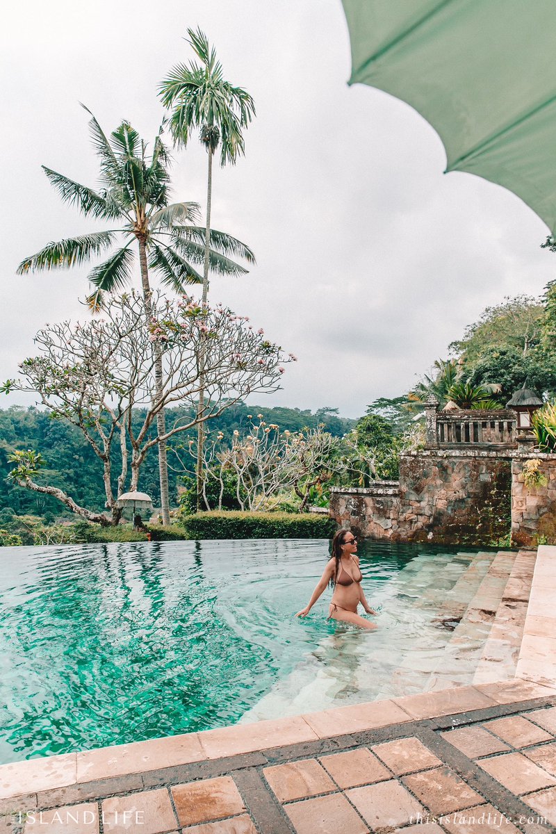 ThisIslandLife tweet media