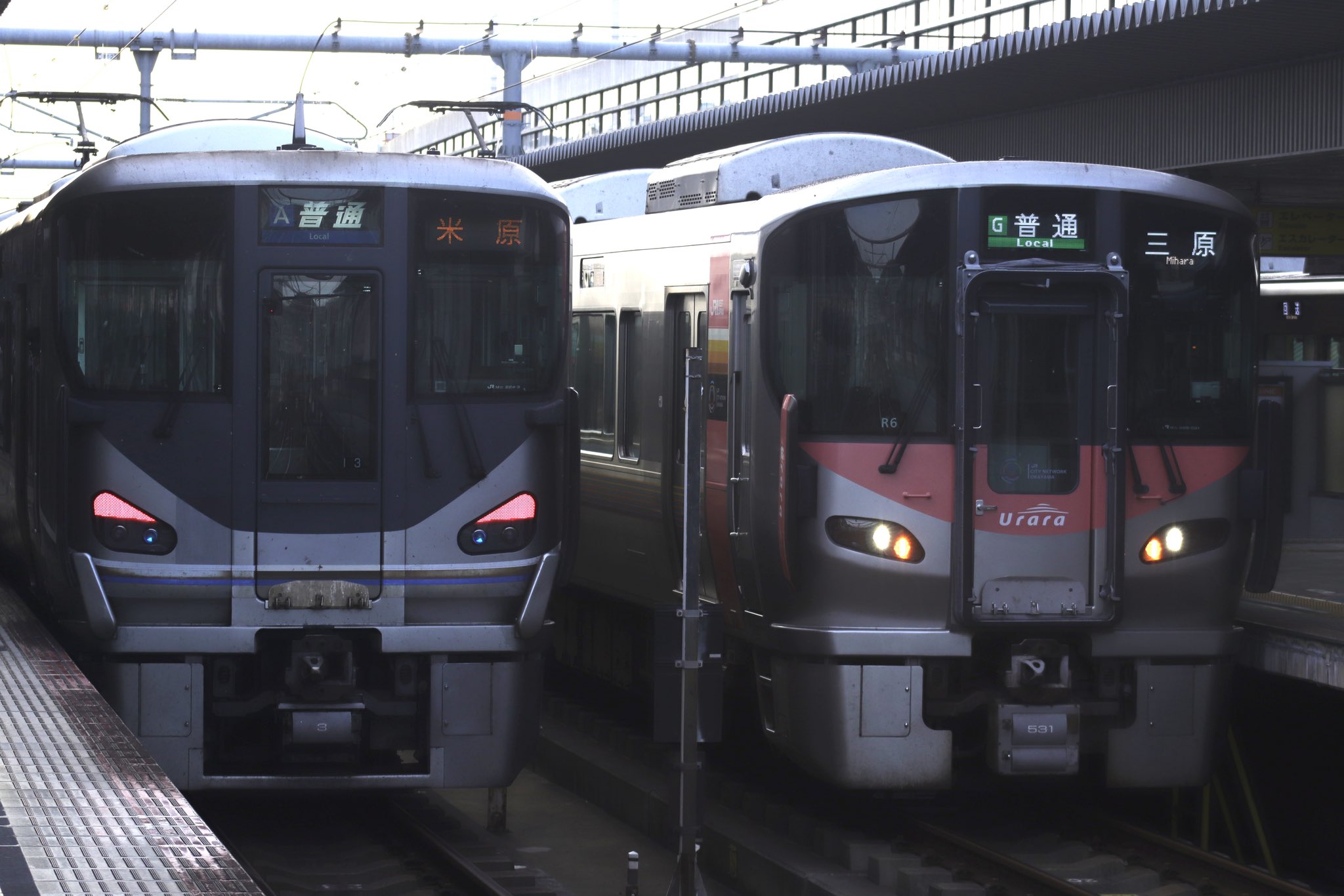 お客❤️の4点 楽天市場】【マラソン限定、タイムセール⇒3,380円】PAFHL 安全