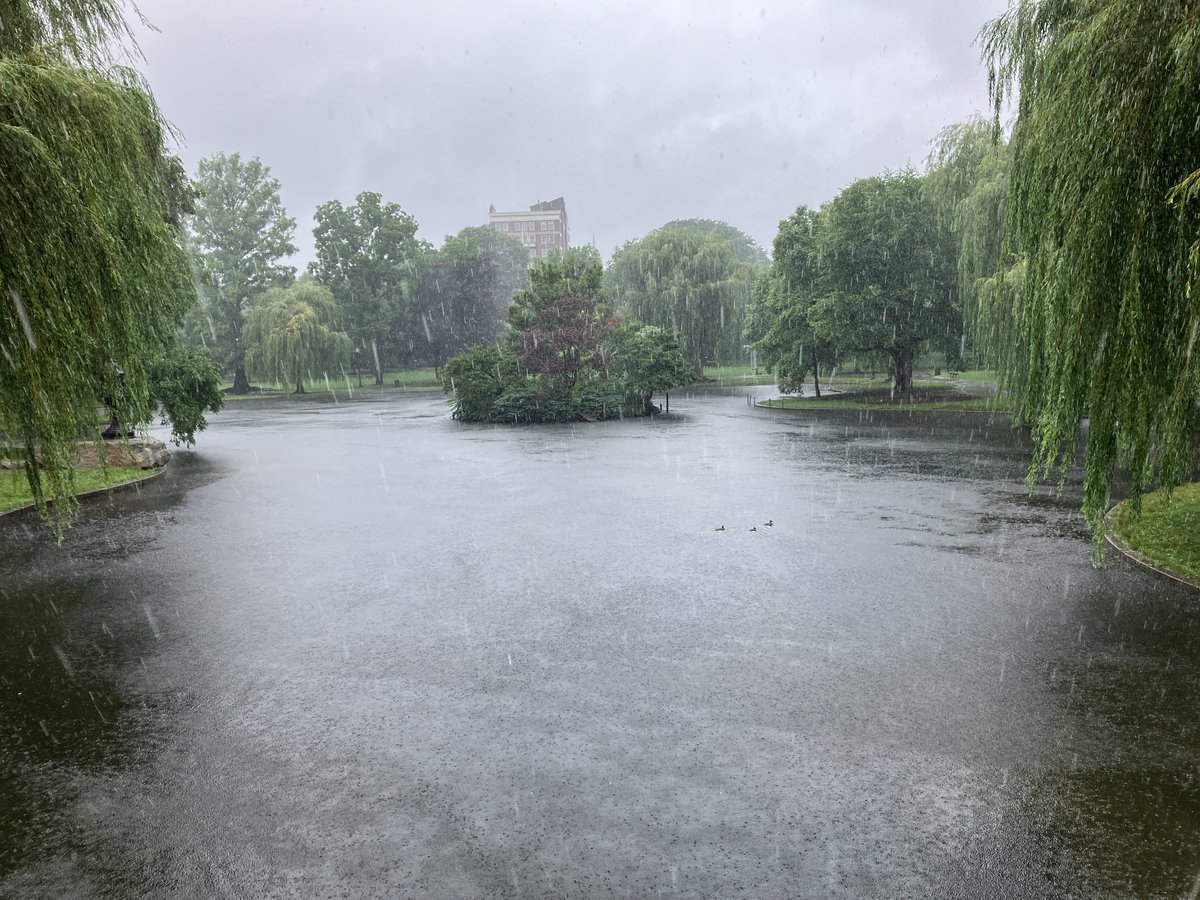 Ben Edwards tweet media