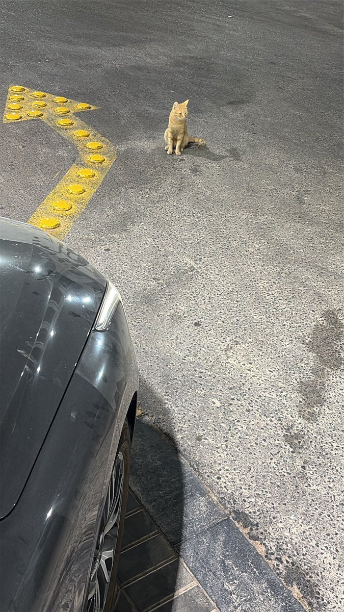 اغرب صحبه تمر عليك