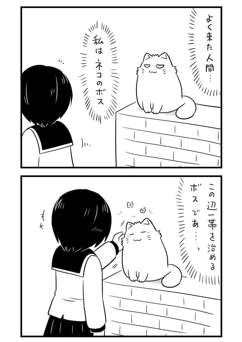 ネコのボス（1/2）