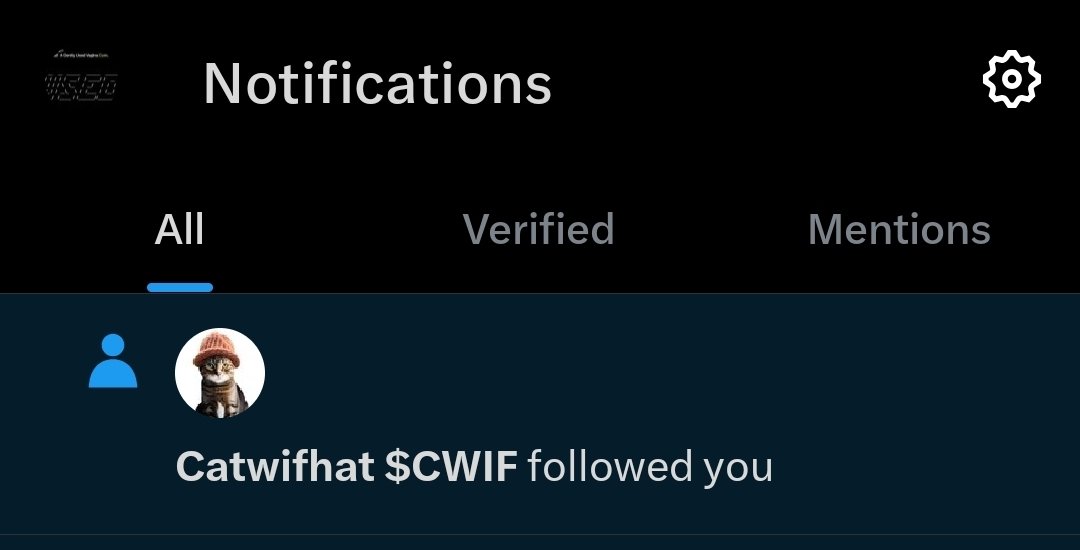 kitties! 

<a href="/catwifhatsolana/">Catwifhat $CWIF</a>