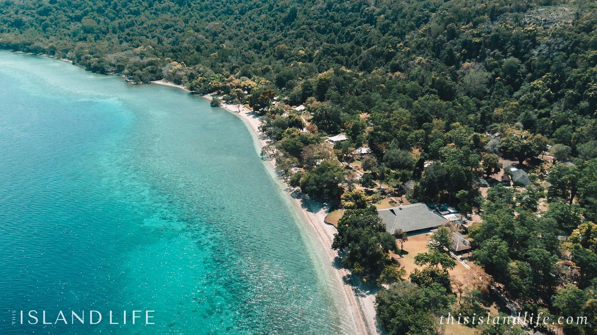 ThisIslandLife tweet media