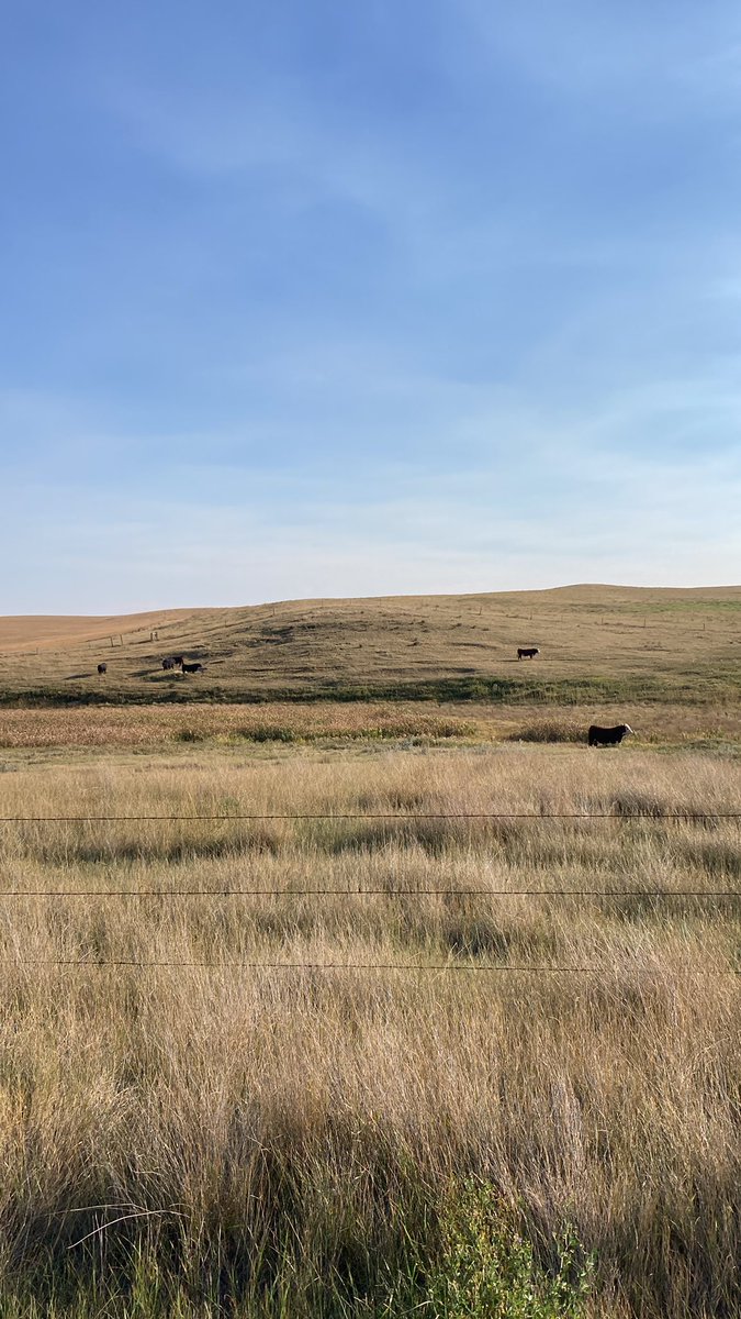 Curtis Fladager (angrycowboy) tweet media