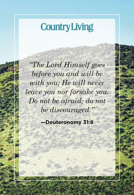 Testifyingofhim's tweet image. “The Lord Himself goes before you and will be with you; He will never leave you nor forsake you. Do not be afraid; do not be discouraged.”

(Image Via Country Living)