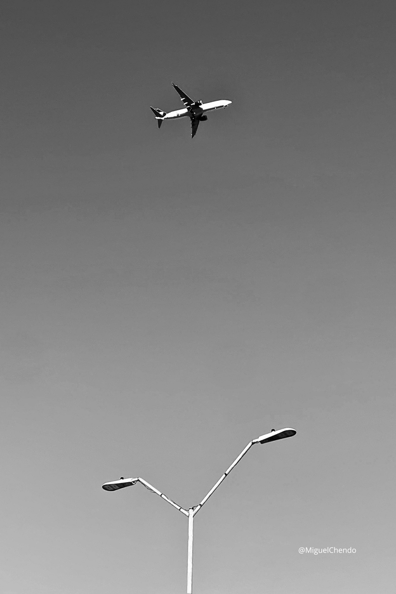 "Vuelvo Vespertino" 📸

Mérida, Yucatán 🗺

más en: miguelchendo.com/portafolio-fot…

#blackandwhitephotography #photograph #fotografia #fotografía #photography #photographie