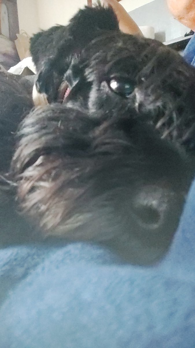 Eliseo San (@eliseosan) on Twitter photo 