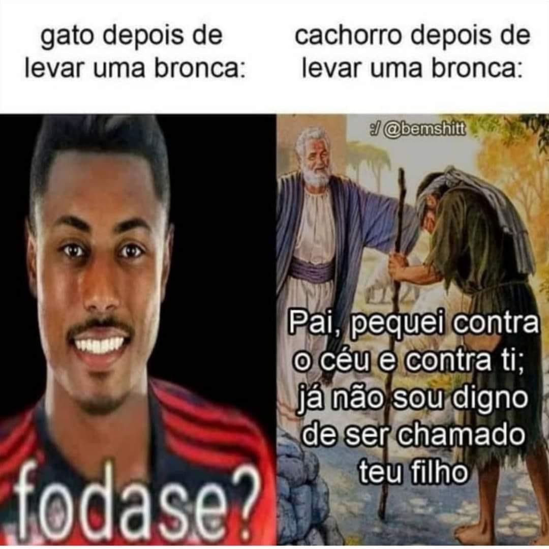shitpostverdade's tweet photo. https://t.co/xDQAXMnqYl
