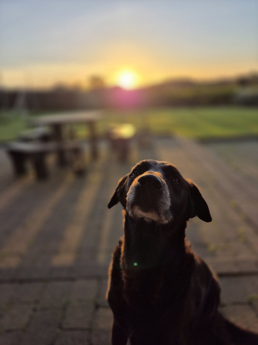 david cawley tweet media