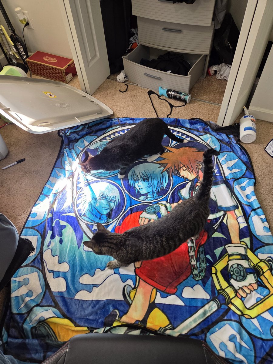 BigStonedWolf @ FWA2026 tweet media