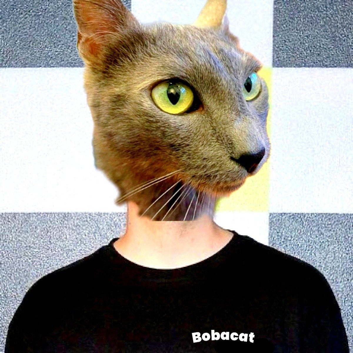 CRyptOracl3's tweet photo. Miss $BOBA or Mr @MrBeast !? https://t.co/eTBj8LfIcS