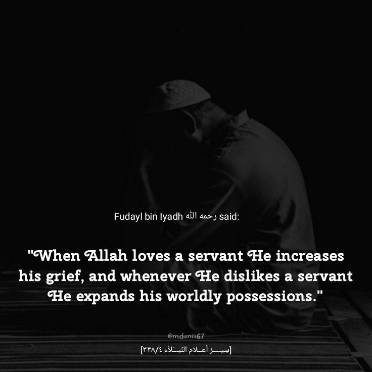 BintArif11's tweet photo. https://t.co/LFyVhc90gv