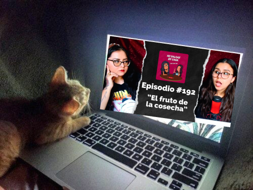 domingo de obligar a tu michi a ver el último episodio de las tuntuntunnn en honor al señor productor😌✨

▶️: youtu.be/p57wlNQhB6E?si…