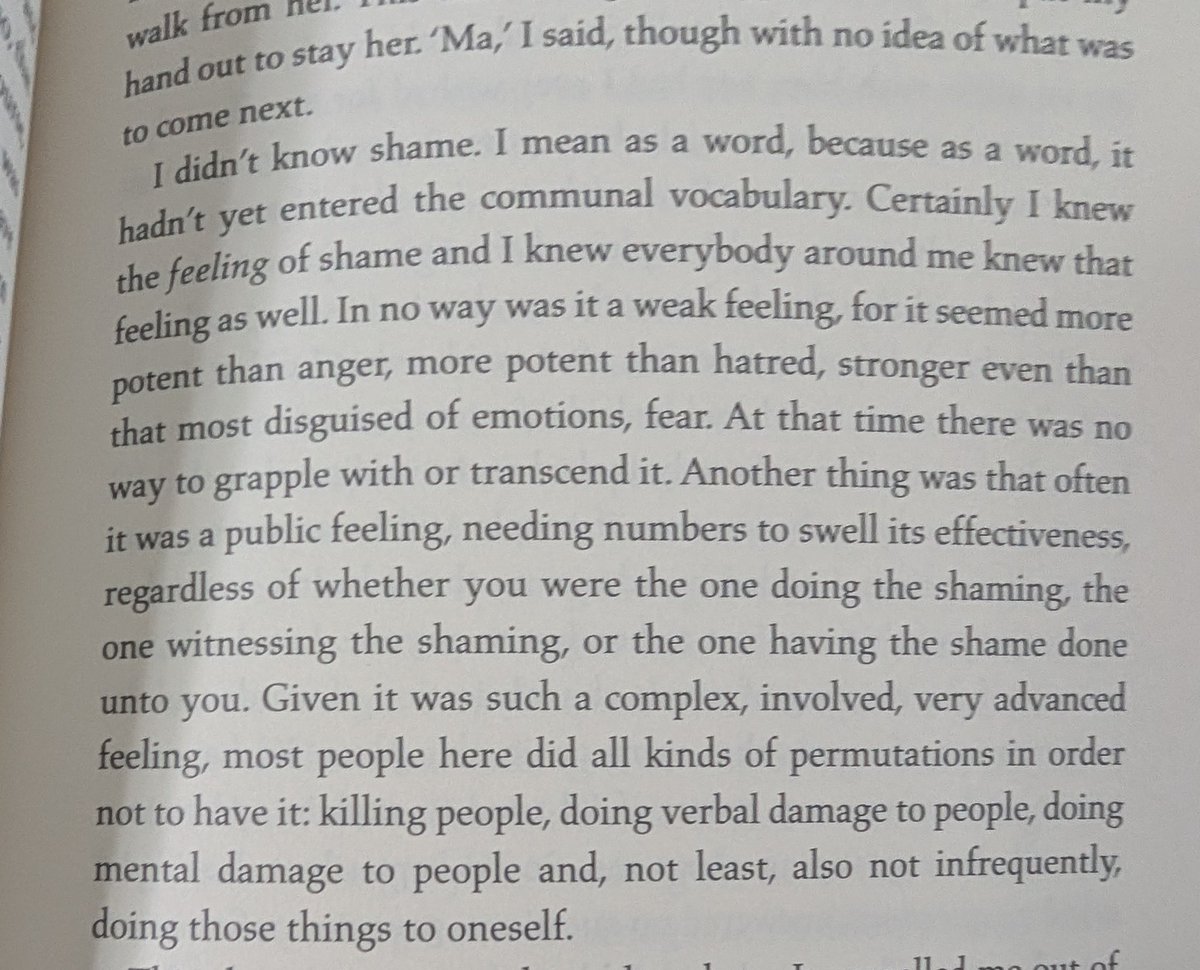 rimorin's tweet image. #littwitter