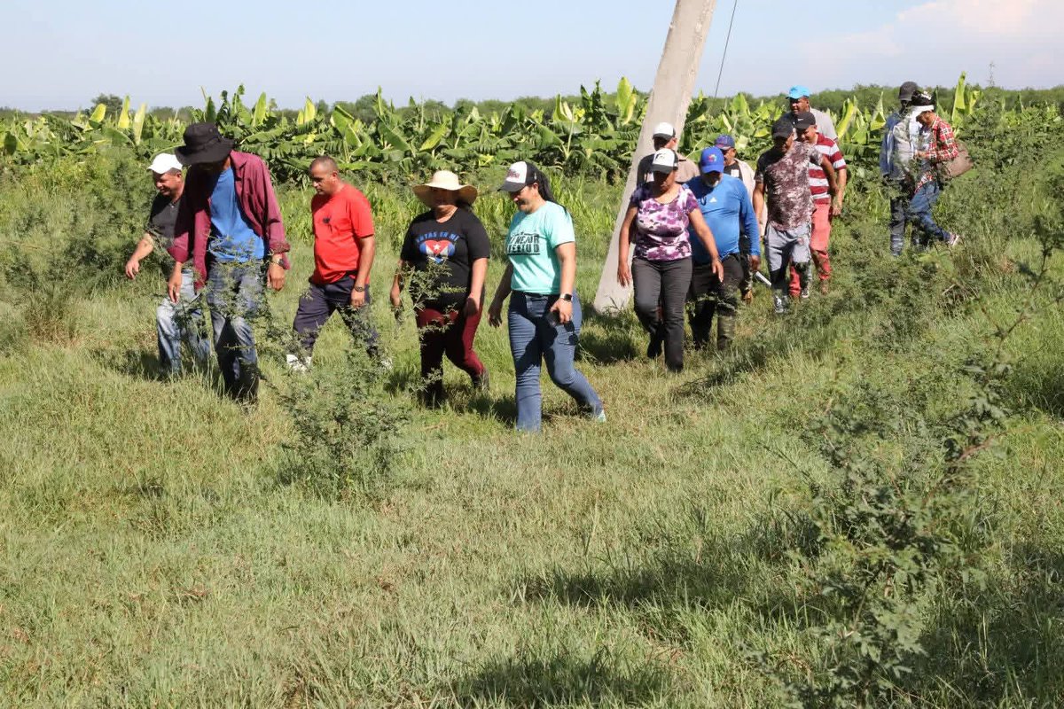 YanetsyCubana's tweet photo. Hoy reccorimos junto a Yudelkis Ortiz Barceló, Primera Secretaria del Partido en #ProvinciaGranma y Yanetsy Terry Gutiérrez, Gobernadora, áreas productivas en el municipio  #Bayamo https://t.co/CnHNffVtYc