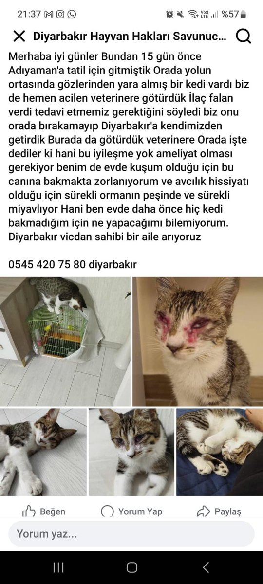 DİYARBAKIR 

ACİL GEÇİCİ
KALICI YUVA 🆘 

İLAN facebook.com/share/1Tr99KJA…