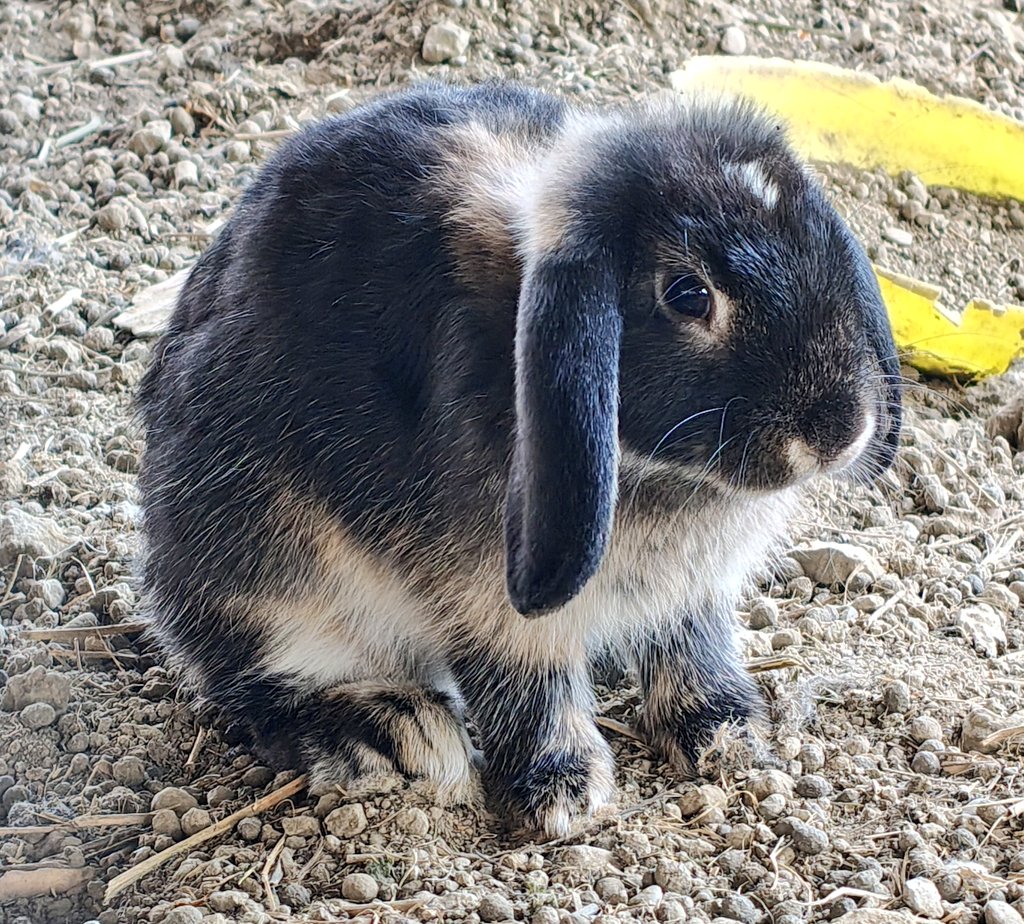 Bellissima, lei 😍