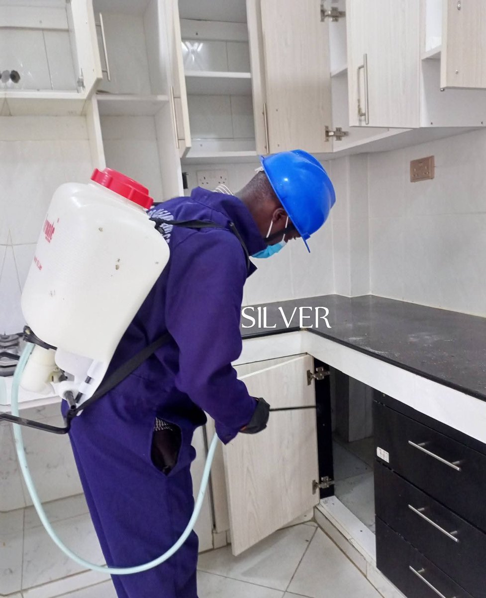 plug_abuja's tweet photo. A pest-free home is a happy home! Discover the power of JOJO Cleaning Services' Fumigation services.
Call 07038093721 today to reclaim your space from these unwanted guests. Let's make your home & business pest-free together!
#Postconstruction #Abujacleaningservice Rema Ebuka https://t.co/JXMRN3LI6H
