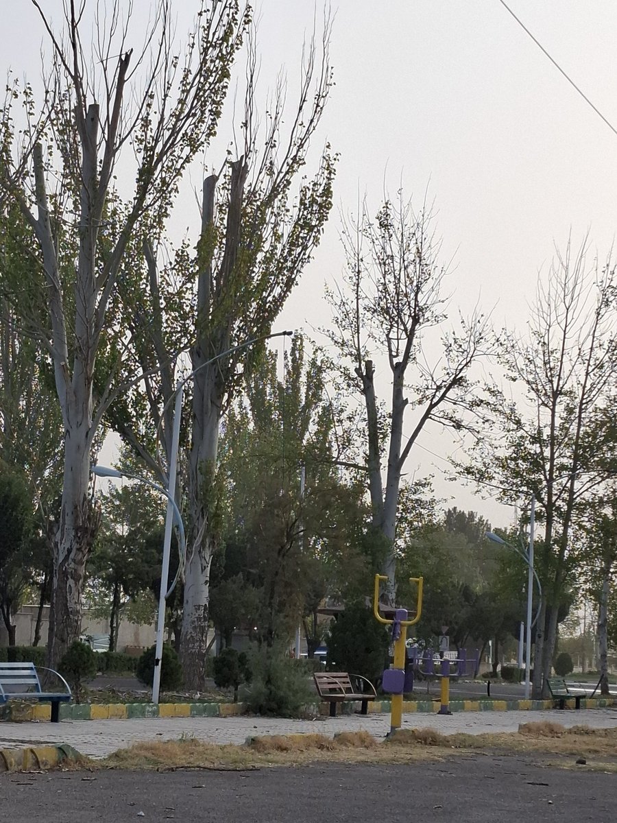 This dance... this dance... is like a weapon