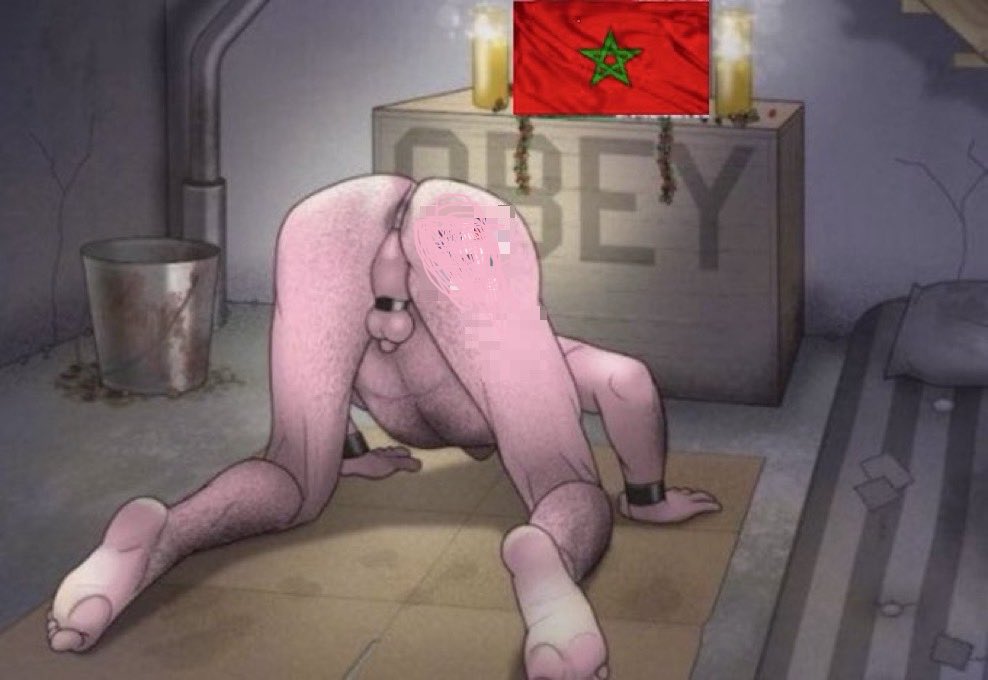 white boi .. 
worship and obey the moroccan supremacy !.