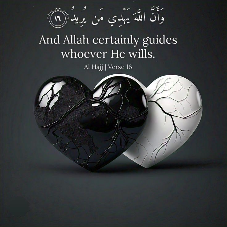 Allah certainly guides who he will.