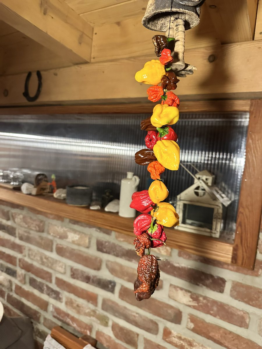 Samozřejmě se s mičurinskými úspěchy <a href="/theworst_of_us/">ten nejodpornější</a> nemohu rovnat, ale nakonec z toho aspoň něco bude.