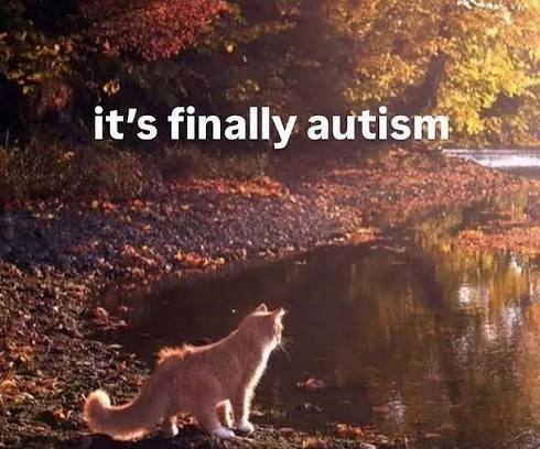 Ruffie 🐱☕ tweet media