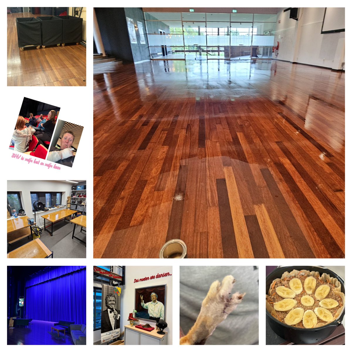 Edithmolmans's tweet image. #deweekisweerom