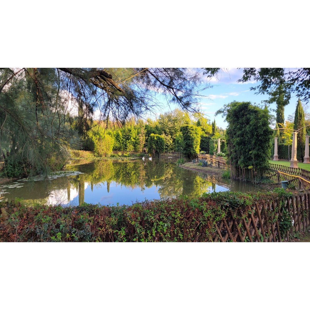 Juki_W's tweet image. Pre &amp;amp; post wedding 🤍💒

Julaayy.blogspot.com/2025/09/pre-an… 

#blog #blogger #fblog #fblogger #liverpoolblog #liverpoolblogger #wedding #Italy #tuscany #empoli #florence #cocktailparty #pizzaparty #poolparty #pizza #tenutacorbinaia #italia #ohanaempoli #destinationwedding