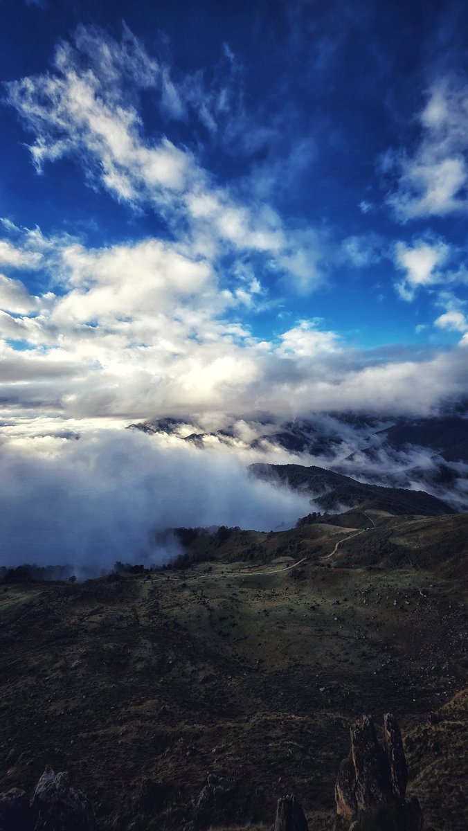 Creo que me gusta mi barrio.