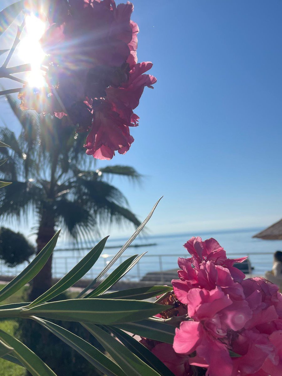 Hayat bu aralar biraz güzel.

Adana, Eylül 2025.