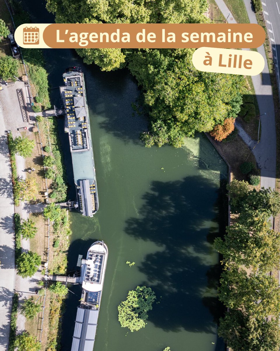 Les événements et les infos pratiques de votre semaine lilloise, c'est par ici !

▶︎ lille.fr/Actualites/Que…