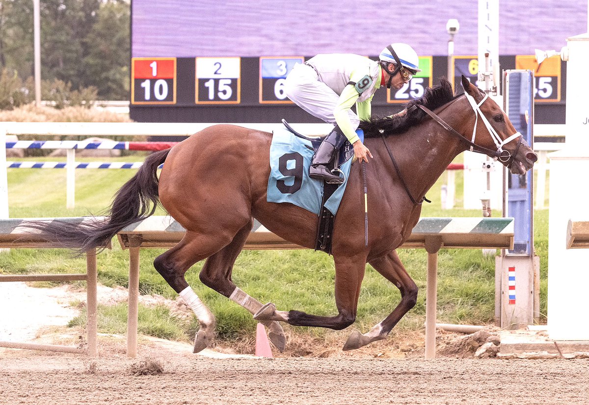 11th win in 20 starts for Rominski, who takes over on far turn and holds on to take 6F optional $55K claimer @laurelpark. Earnings now close to $440K. Ridden by <a href="/SheldonRussell1/">Sheldon Russell</a> for <a href="/BTRracingstable/">Brittany Russell Racing Stable</a> and owner The Elkstone Group. (Jim McCue 📷)