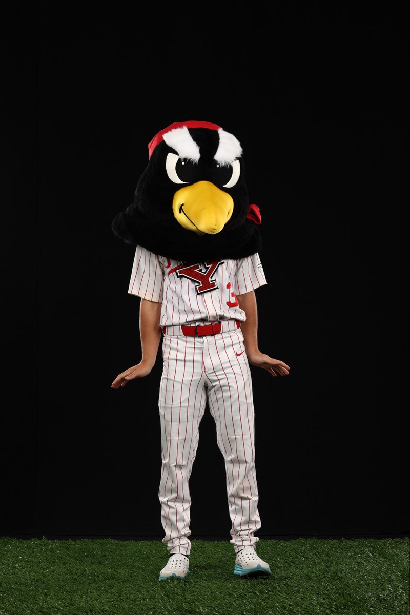 Thank you so much <a href="/YSUBaseball/">YSU Baseball 🐧</a> for the great weekend more then greatful