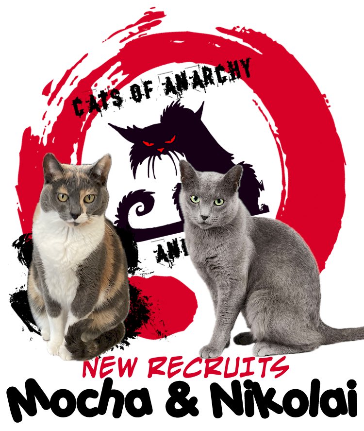 Cats of Anarchy and Dogs (@catsofanarchya1) on Twitter photo Calling all #CatsOfAnarchy members! Please welcome our new recruits, Mocha <a href="/MochaTalker/">Mocha is in the house</a> and Nikolai <a href="/RussianBlueMale/">Nikolai Roaminoff</a> 🥳 We are happy to have you on board frens! ❤️ Calling all #CatsOfAnarchy members! Please welcome our new recruits, Mocha <a href="/MochaTalker/">Mocha is in the house</a> and Nikolai <a href="/RussianBlueMale/">Nikolai Roaminoff</a> 🥳 We are happy to have you on board frens! ❤️
