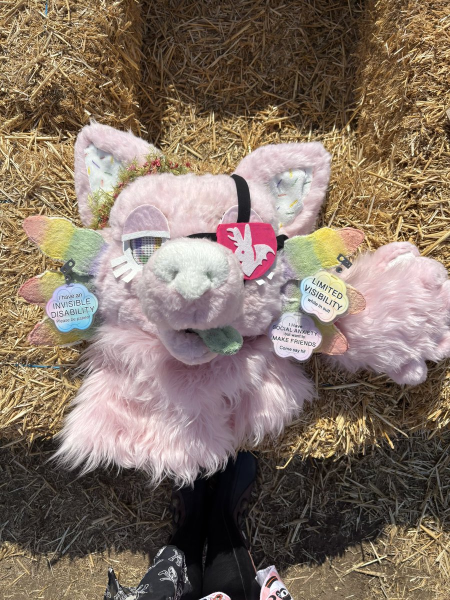 Psych0Bat's tweet photo. Renfaire weekend got Plushy like- 

#furry #fursona #fursuit https://t.co/EPbXxD5t6h