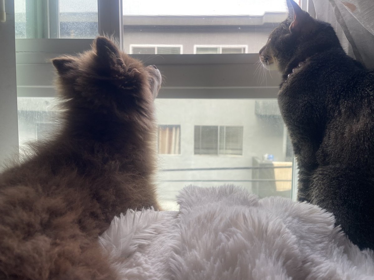 KileyFox's tweet image. Besties 🥰