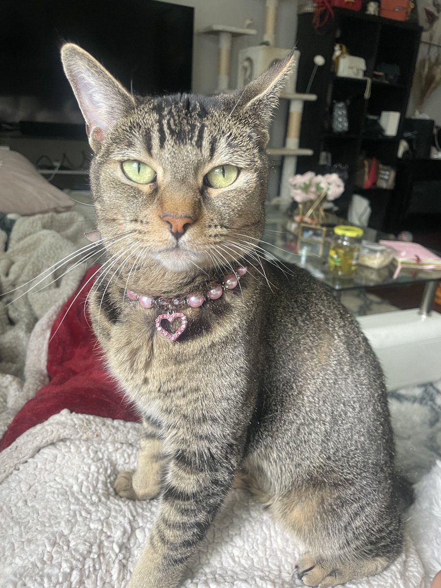 KileyFox's tweet image. Besties 🥰