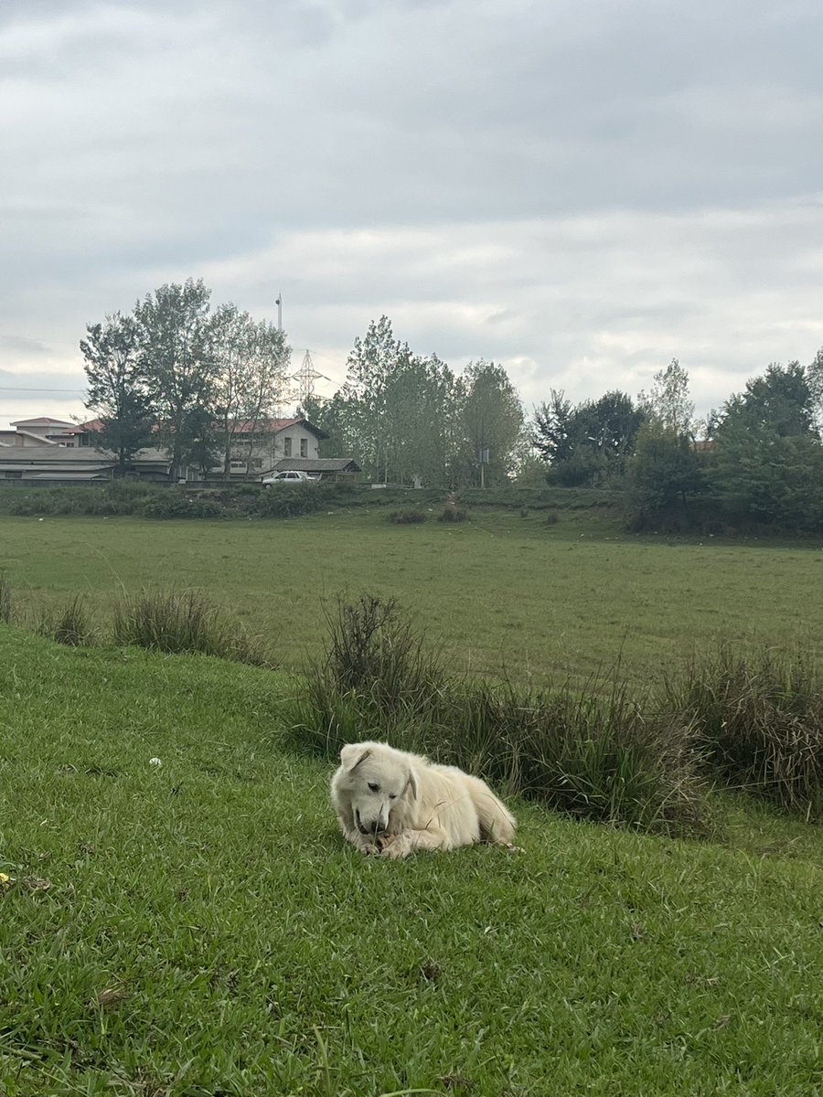 در مزیتِ انزوا tweet media