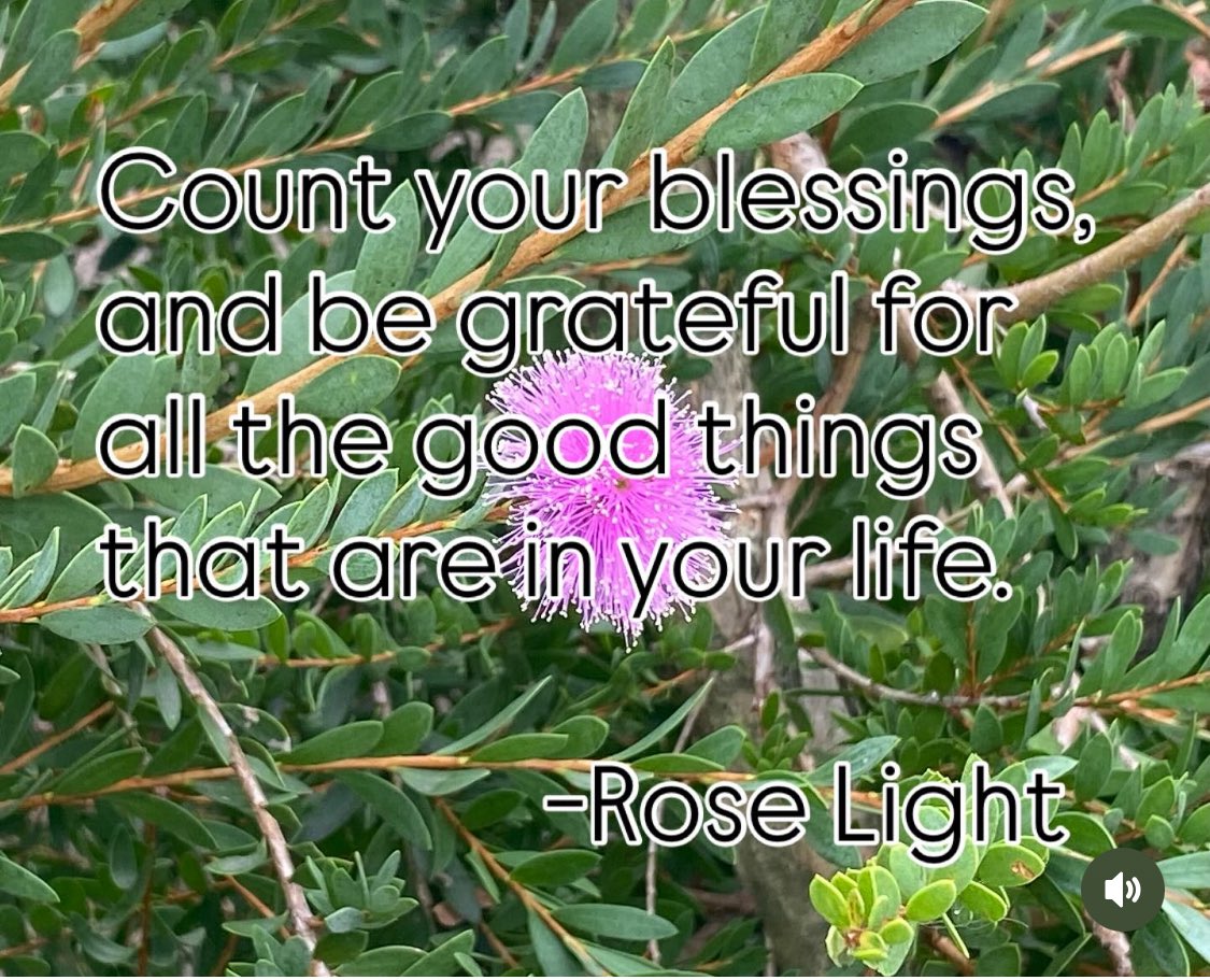 rose_light8's tweet photo. Count your blessings, and be grateful for all the good things that are in your life. ✨ -Rose Light

Hope you have a wonderful day ! 💕
.
.
.
#blessings #grateful #good #life #enjoy #love #peace #moment https://t.co/rTwboO6LL9